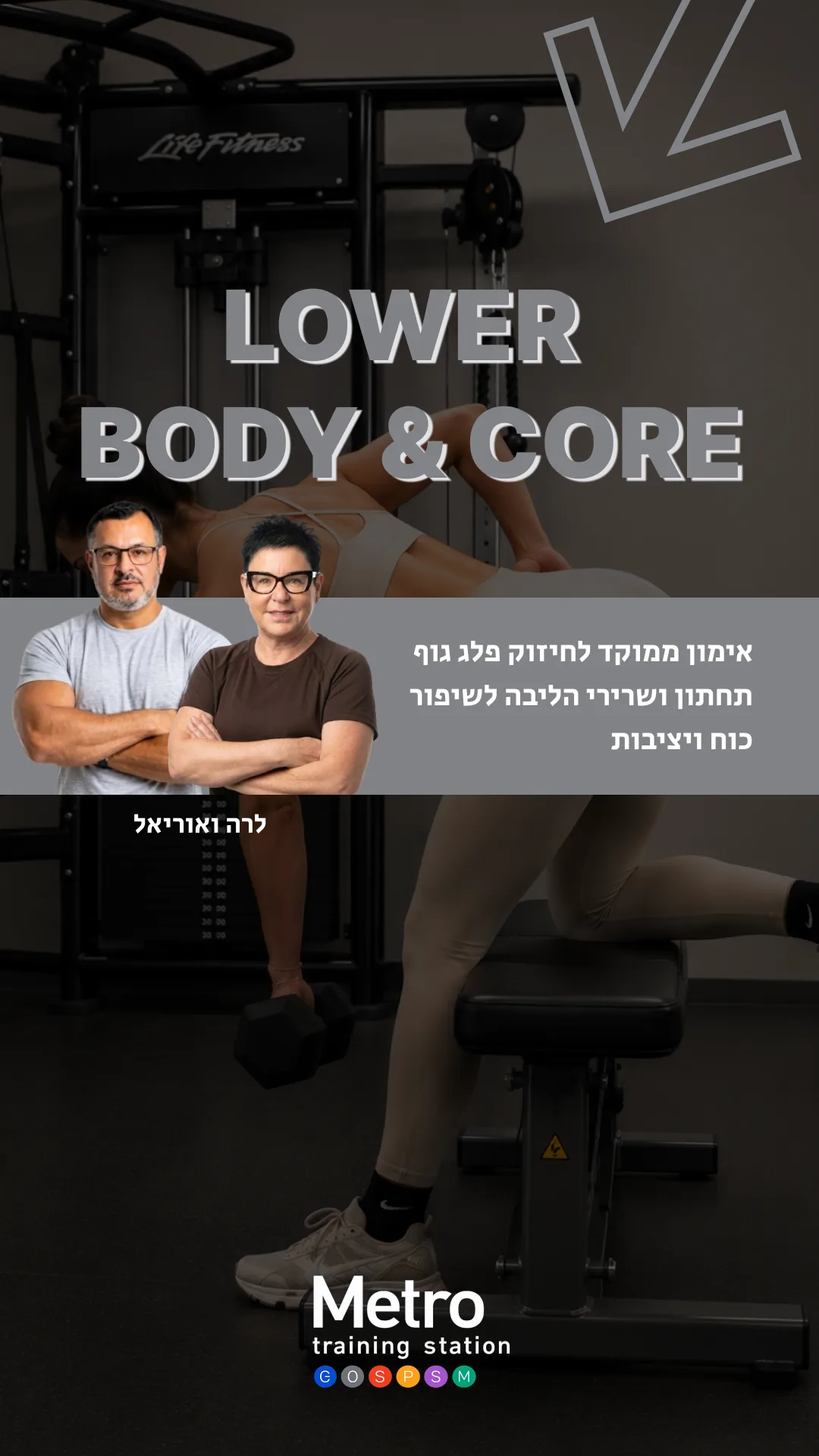 פלג גוף תחתון